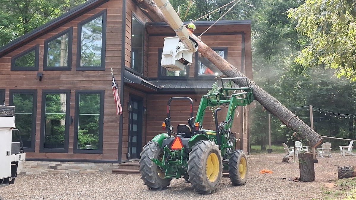 Juan Heredia Tree Service LLC photo 1